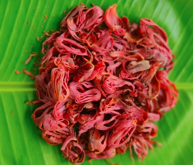 MACE,ജാതിപത്രി,जावित्री