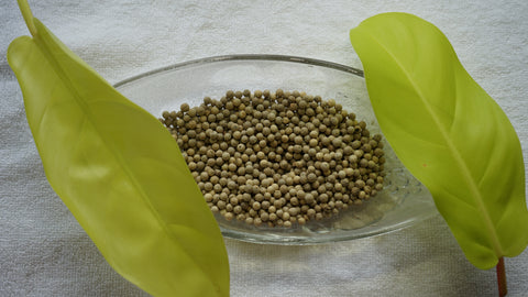 White Pepper 