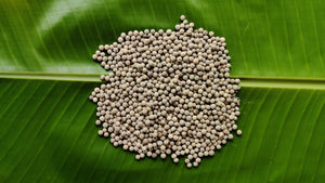 White Pepper