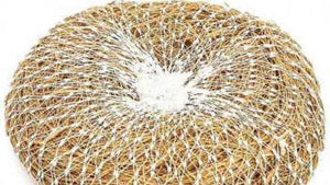 Ramacham Body-Scrubber