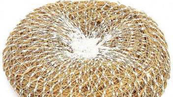 Ramacham Body-Scrubber